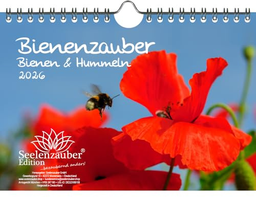 Bienenzauber Bienen und Hummeln DIN A5 Kalender für 2026 - Seelenzauber