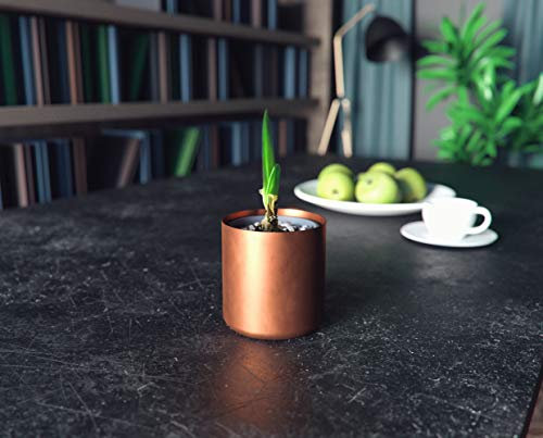 Maison Zoe Cache Pot - Pot de Fleur en Forme cylindrique - Petit Pot en Cuivre Rouge - Pot de Fleurs intérieur Fait à la Main
