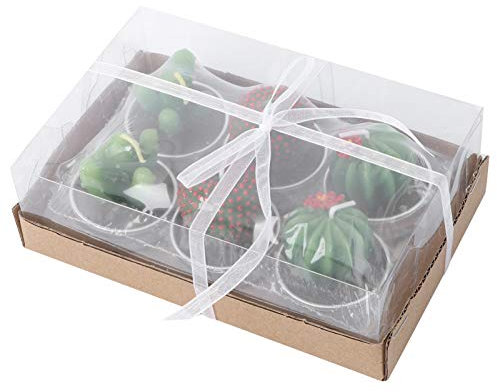 Amosfun 6 Stücke Kaktus Terrarium Kerze Mit Winzigen Terrakotta Töpfe Rauchlose Sukkulente Kerzen Für Valentines Tag Geburtstag Spa Wohnkultur Z106