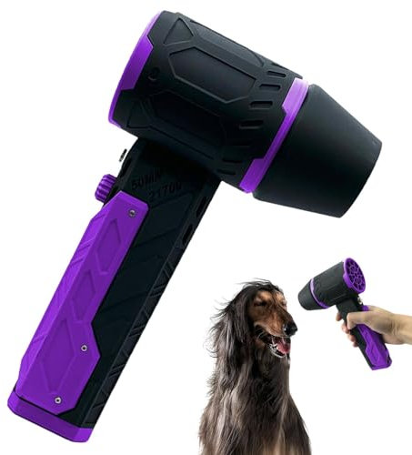 Ventilatore d'aria 'essiccatore 'automobile, Ventilatore di aria ricaricabile, Spolverino elettrico a velocità continua, Ventilatore del ventilatore del barbecue, pulitore elettrico,