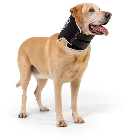 Halsband, starr, Anti-Verlust, Ø 45 – 55 cm, Größe M – BT Neck Black Eco