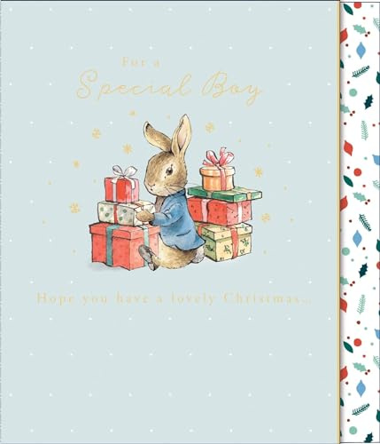 Peter Rabbit for A Special Boy Cute Christmas Card Xmas Greeting Cards 690564