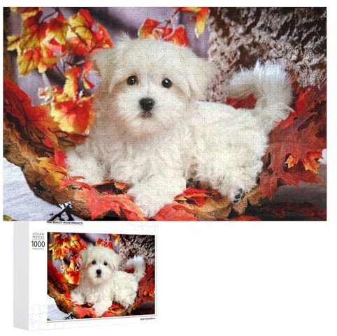 Puzzles 1000 Teile Zusammenbau Bild Malteser Hunde Poster Erwachsene Spiele Lernspielzeug 38x26 Papier