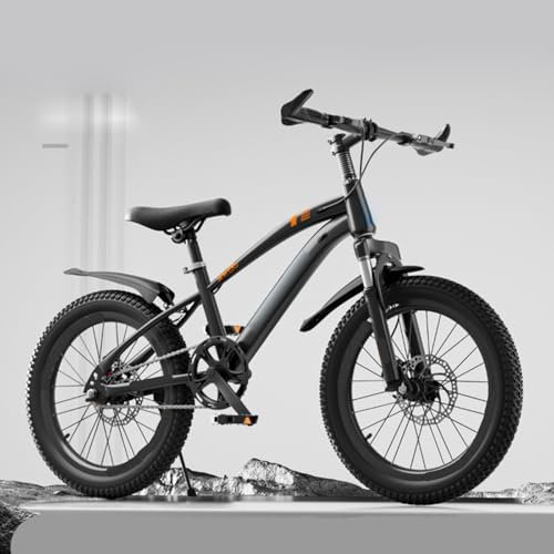 Kinder Mountainbike 22 Zoll Singlespeed Integriertes Rad Mit Doppelscheibenbremsen Vorne und Hinten und Stoßdämpfung B,22 inches