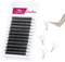 5D W Premade Fans Eyelash Extension 0.07D Curl Mixed 8-14mm W-Shape Pre Made Russian Volume Lashes by FADVAN Natural Matte Black