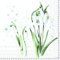 Ihr Servietten 20 Stück Papier 3-lagig 33 x 33cm Schneeglöckchen Frühling