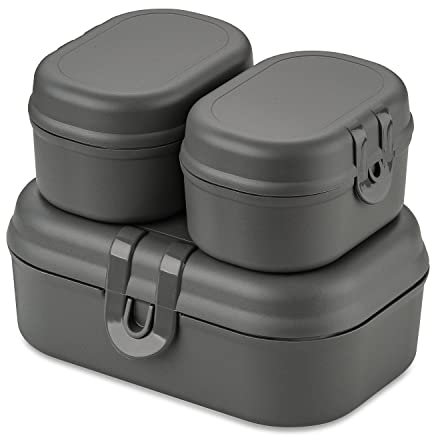 Koziol PASCAL READY MINI Lunchbox-Set nature ash grey