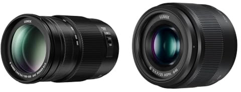 Panasonic Lumix G Vario 100-300 mm F4.0-5.6 II/O.I.S. & 25 mm F1.7 Prime Objektiv - Schwarz, Micro 4/3-Halterung Kompatibel Mit Olympus
