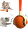 laocaf Interactive Cat Toy Ball, 2025 Neue Katzenball-Elektronik, Halten sie Ihre Katze Aktiv, Katzenball Elektrisch, Geeignet für Katzen und Hunde (Orange)