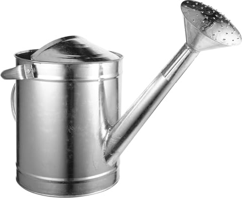 Yardenfun Gießkanne aus Metall 5l Silber mit Langem Auslauf und Sprühdüse Präzises Gießen für Blumen und Pflanzen Drinnen Sowie Draußen Zufälliger Stil