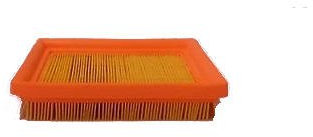 Filtro Aria Acme Motori: A349-A360 O.E.M 359-168 GA1340