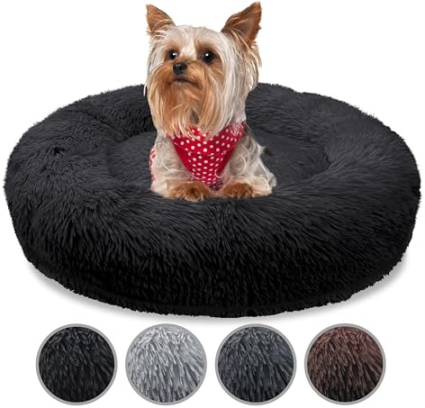 bluzelle Orthopädisches Hundebett für Kleine Hunde & Katzen, Schwarz | XXS-50 cm