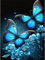 5D Diamond Painting Tiere, Diamant Painting Bilder Erwachsene Basteln Full Diamant Blauer Schmetterling Kinder DIY Stickerei Kreuzstich Set Diamond Painting zubehör, für Home Dekor 100x150cm R-22