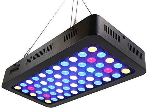 165W LED Aquarium Light, Full Spectrum Dimmable LED Coral Light, 2 interruptores para Agua Salada Reef White Blue Aquarium Lighting Marine Reef Tank