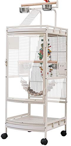 Großer Vogelkäfig für Papageien, mit transparentem Schrank, obere Plattform und 4 Rollen, Vogelkäfig, 50,5 x 46 x 180 cm