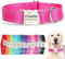 SEOUGEE Personalised Dog Collar with Engraved Metal Buckle, Reflective Nylon Collars for Small Medium Large Dogs with Custom Name Plate Phone Number (Rose Red, L:Neck 40-60cm,Width 2.5cm)