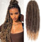 Samtress 8 paquets de cheveux Afro Kinky Marley tressés pour Faux Locs Crochet cheveux 24 pouces Cuabn Twist Marley cheveux Ombre Blonde Marley tresses extensions de cheveux Crochet (#T27)