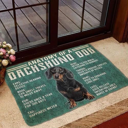 Anatomy of A Dachshund Dog Doormat,Novelty Flannel Floor Mat with Non-Slip Rubber,Dachshund Dog Lovers Home Decorative Welcome Doormat 30x18 Inch
