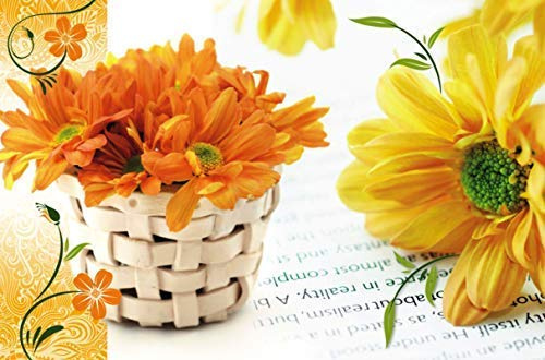 Preisjubel 6 x Platzdeckchen Blume ca. 43,5 x 28,3cm, 28139, Platzmatte, Tischset, Platzset