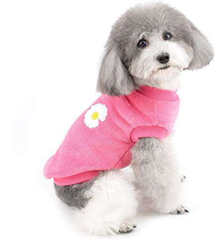 ZUNEA Pullover für kleine Hunde, Winter, warme Fleecejacke, Mantel, Welpenkleidung, weicher, bequemer Samtpullover, Haustierpullover, Bekleidung, Weihnachten, Chihuahua, Kleidung für Hunde, Mädchen,