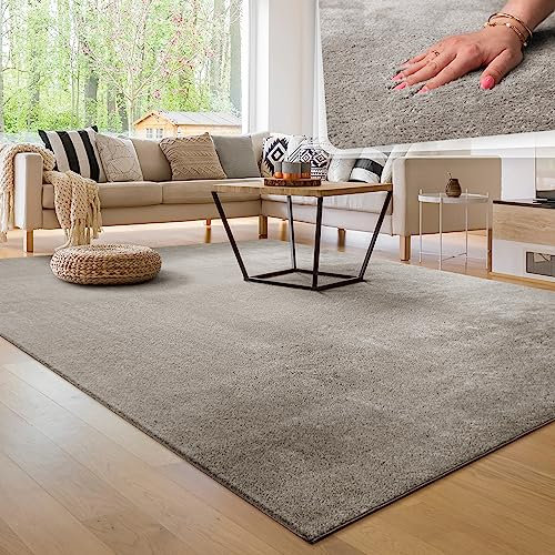 Paco Home Moderner Kuscheliger Wohnzimmer Teppich Kurzflor waschbar flauschig Weich Einfarbig Felloptik zeitlos stilvoll rutschfest pflegeleicht, Grösse:200 cm Quadrat, Farbe:Grau