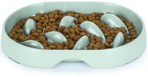 IDOGCHEW Anti Schling Napf für Katzen und Kleine Hunde, Langsam Fütterung Katzennapf, Puzzle-Schale mit Rutschfester Unterseite für Katzen (Oval, Hellgrün)