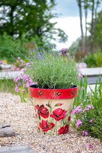 Creekwood Zest Plastic Plant Pot, Decorative Printed Indoor Outdoor Flower Pot, Lightweight Weatherproof Small Garden Planter for Herbs, Flowers, Succulents & Houseplants