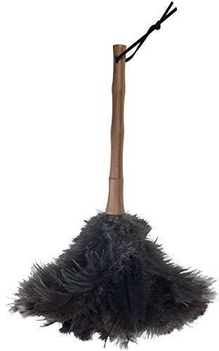 MSV Staubwedel Bambusgriff Feder Staubwischer Strauss Natur Straußenfedern 56 cm Bambus, Brown, 65 cm