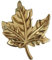 TOSSPER 1 Pc Brass Maple Leaf Door Knobs Cupboard Closet Door Knobs for Kitchen Drawer Bedroom Furniture (gold)