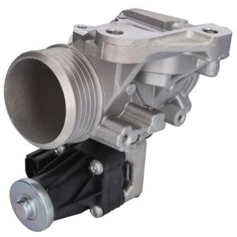 Delphi Technologies EG10548-12B1 AGR-Ventil