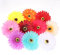 30 Stück Künstliche Gerbera Gänseblümchen Blütenköpfe 10cm Handwerk Gerbera Kunstblumen Gänseblümchen Blumenköpfe für Hochzeit Bouquet, DIY Bastel Blumen (10 Farben)