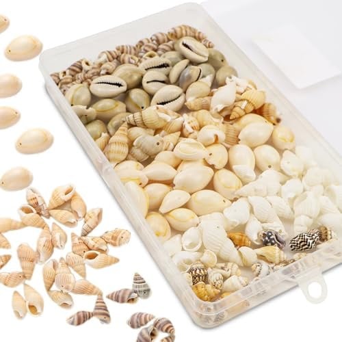 Raxfekro 120 Stück Muscheln Deko mit Loch 6 Stile für DIY Muscheln zum Basteln Natürlichen Muschel Perlen für Schmuck Machen kauri muscheln zum Auffädeln Basteln (12-15mm)