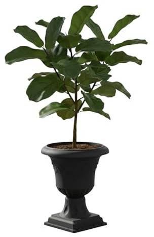 botle Blumentopf großer Blumentopf Pflanzpokal, Amphore Pflanzgefäß mit Stiel Blumenbeet Ø 39 cm H 62 cm rund Graphit Slim Home and Garden Arrangement Matt Grabtopf für frische und künstliche Blumen
