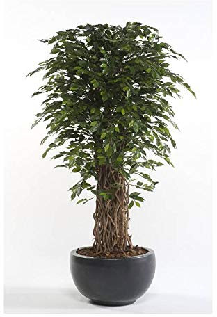 artplants.de Künstlicher Ficus Benjamini Adolfo, Naturstämme, grün, 205cm - Deko Ficus Baum - Zier Baum Ficus