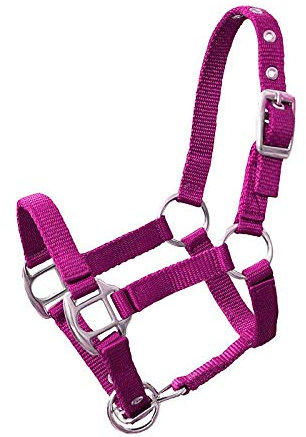 German Riding Miniline, Nylonhalfter ''Petit'' Magenta Gr. 3 Minishetty klein