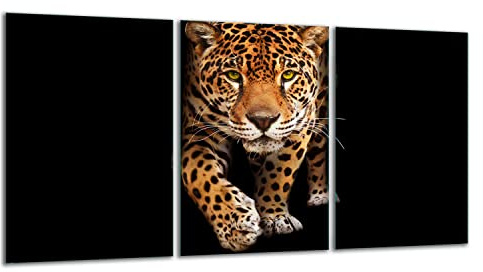 TMK | Herdabdeckplatten ceranfeld 3 Teilig 30x52 cm | Ceranfeldabdeckung Küche Elektroherd Induktion | Herdschutz Spritzschutz | Glasplatte Schneidebrett | Katze