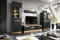 Generic Wohnwand Fame Wohnzimmerset Wohnzimmer Wand Regal TV Wand Matt Glas Vitrinenschrank Lowboard Wandregal mit LED (Schwarz/Gold), 3D2SZ