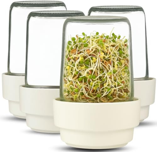 SPROSSENGLAS 4er Set/Design Anzuchtset vertikal/Keine Staunässe - zeitlos schönes Design zur Anzucht von microgreens und Sprossen/Sprossen Anzuchset/Keimglas für Sprossen 4er Set, 0,5 l