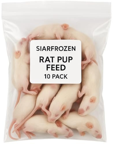 SiarFrozen Rat Pup Feed – 10 Pack | Small Frozen Food for Snakes, Reptiles & Birds of Prey | Clean, Consistent & Well-Prepared