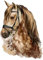 GRAZDesign Wandtattoo Pferd Kinderzimmer Mädchen | Wandsticker Pferdekopf braun | Deko Wanddeko selbstklebend Pferdesticker - 79x57cm