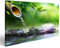 Bild auf Leinwand Zen Garten Massage Steine und Seerose Wandbild Poster Kunstdruck Bilder