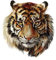 GIVBRO Bügelbild Patch Tiger Applikationen Aufkleber Wärmeübertragung Patch für T-Shirt DIY Zubehör
