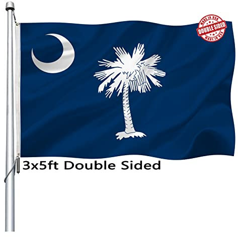 South Carolina Flagge, doppelseitig, 7,6 x 12,7 cm, strapazierfähig, mit 2 Messingösen, Palmetto-Staatsflagge