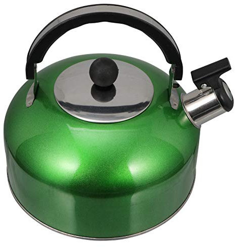 TOPBATHY Pot Théières La Cuisinière Bouilloire à Ébullition Percolateur à Café Électrique Chauffe-eau Bouilloire Chaudière à Ancien Acier Inoxydable Faire Du Thé Fourneau à Induction