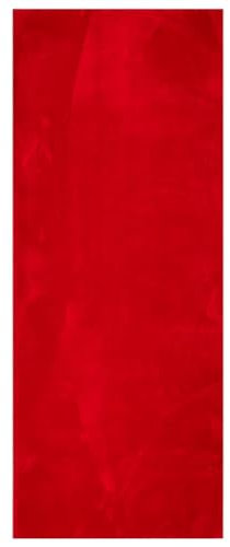 vidaXL Teppich, Wohnzimmerteppich Kurzflor Weich Waschbar, Moderner Teppich für Wohnzimmer Schlafzimmer, Flauschig Einfarbig rutschfest, Rot 80x200cm