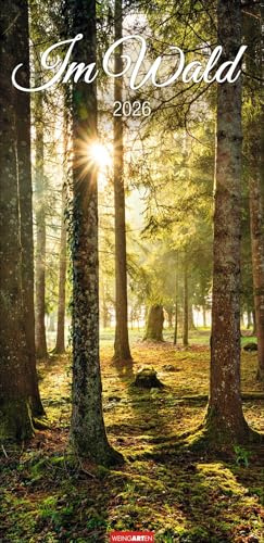 Im Wald - Kalender 2026 - Weingarten-Verlag - Fotokalender im Vertikalformat - Wandkalender mit wundervollen Naturfotos - 33 cm x 68 cm