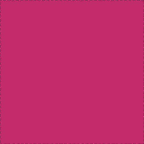 Ventaja Sign & gráfico Oracal 651 Brillante Vinilo x 30,48 cm 25/PKG, Multicolor, 30.73 x 30,48 x 0,45 cm