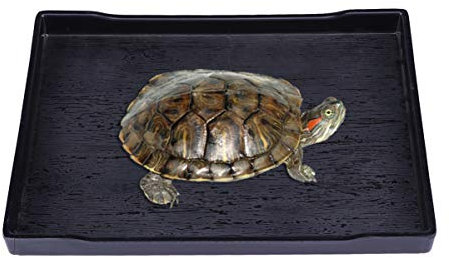 iplusmile Udopea Grillgitter Wanne Schale 80x50 Große Reptilienschale Futter- Wasserschale Schale Schildkröten Für Bad (Schwarz) Plastikwannen Flach Kunststoffwanne 50x50 Kaninchen Wanne