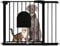 SUBTLETY Türschutzgitter mit Katzenklappe Auto Schließen Treppenschutzgitter Ohne Bohren Hundegitter mit Katzentür Erweiterbar Absperrgitter Schutzgitter für Kinder & Haustiere (Schwarz, 95-105cm)