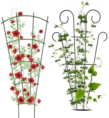 2 Pcs Plant Trellis for Climbing Plants outdoor, Black Coated Fan Pot Trellis Garden Metal Support Stake for Indoor Outdoor Vines Flower Vegetable